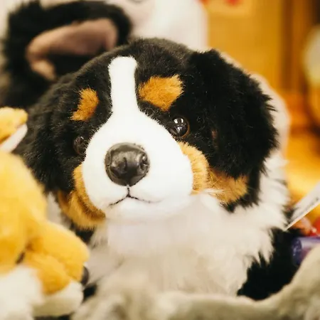 Arlberghaus 4* Zuers