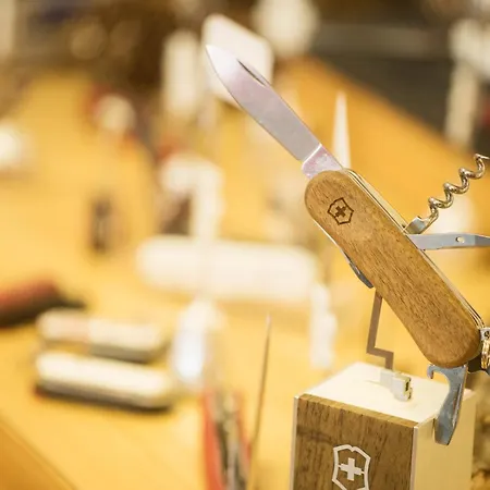 Arlberghaus Hotel 4*